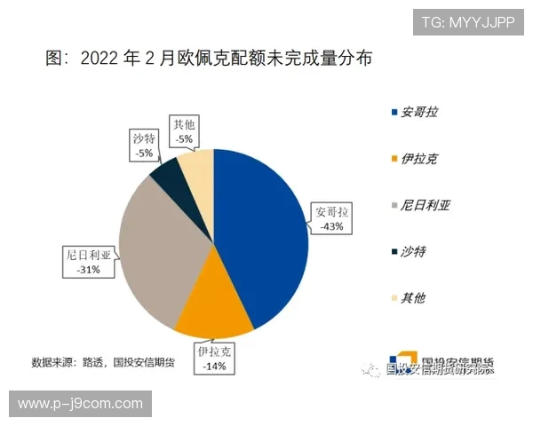 全面解析纪达足球水平与技术特点及未来发展潜力深度研究综合评估